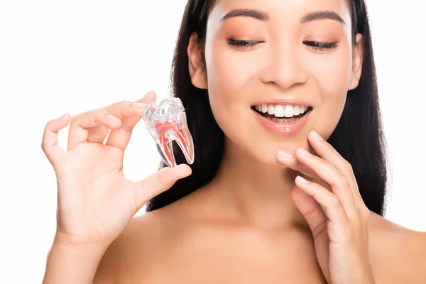 Щаслива гола азіатка тримає модель зуба ізольована на білому — стокове фото