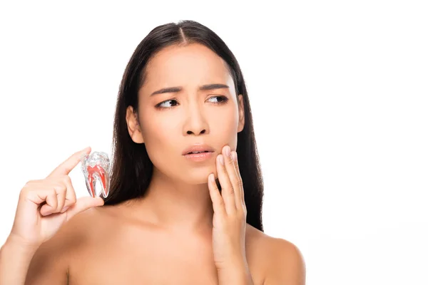 Сумна оголена жінка з зубним болем, що тримає модель зуба ізольована на білому — стокове фото