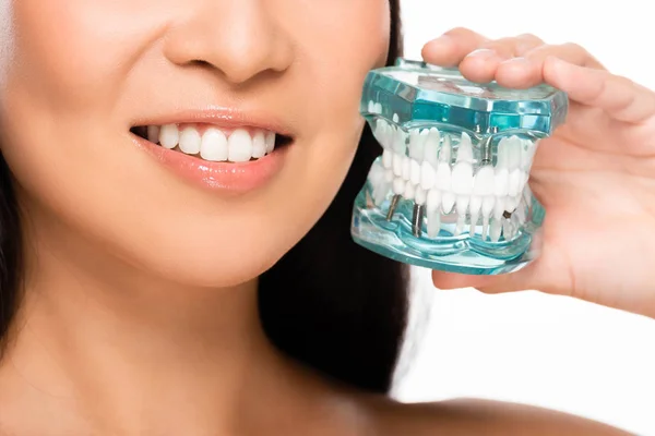 Partial view of smiling asian woman holding jaw model isolated on white — Stock Photo