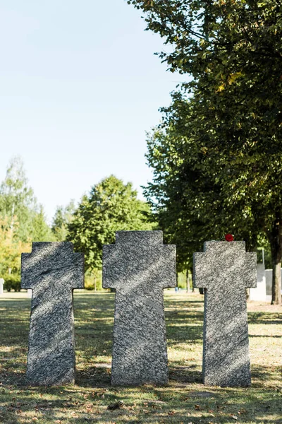 Rose rouge sur pierre tombale en béton dans le cimetière — Photo de stock
