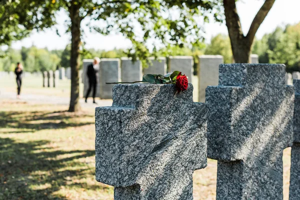 Ombres sur des pierres tombales en béton avec rose rouge dans le cimetière — Photo de stock