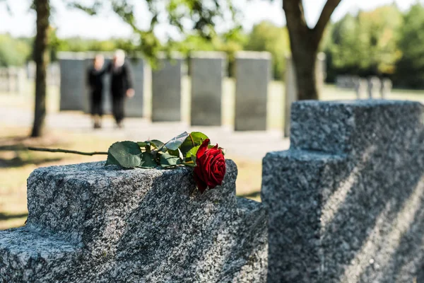 Duftende rote Rose auf Betongrabstein auf Friedhof — Stockfoto