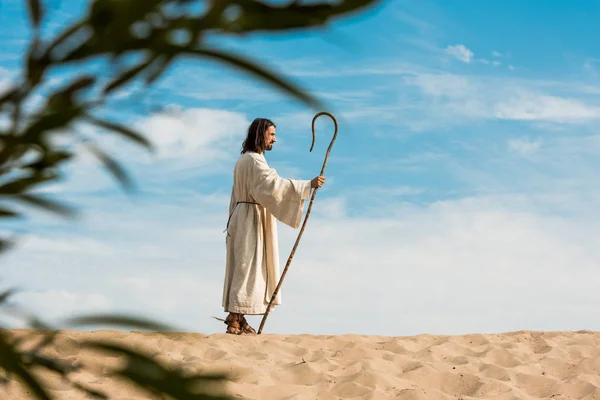 Selective focus of man holding wooden cane in desert — Stock Photo