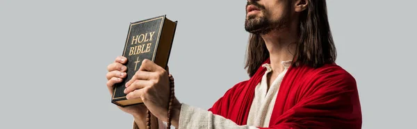 Panoramic shot of jesus holding holy bible isolated on grey — Stock Photo