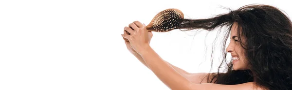Panoramaaufnahme einer gestressten brünetten Frau mit welligem widerspenstiges Haar in Haarbürste isoliert auf weiß — Stockfoto