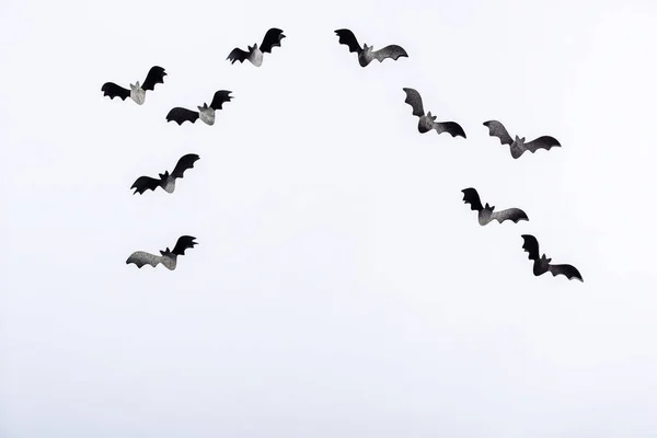 Murciélagos decorativos sobre fondo blanco - foto de stock