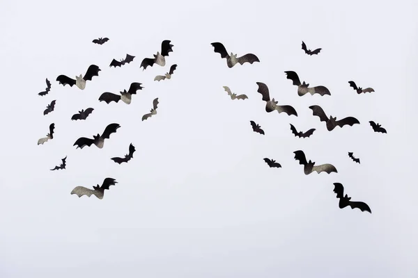 Murciélagos de papel negro sobre fondo blanco con espacio de copia - foto de stock