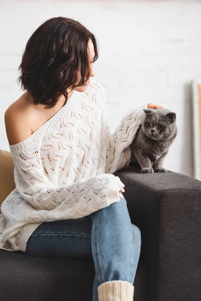 Hermosa mujer sentado en sofá con escocés plegable gato - foto de stock