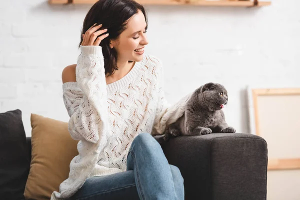 Bela mulher sorridente sentado no sofá com escocês dobra gato — Fotografia de Stock