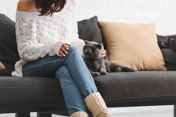 Vista cortada de mulher bonita em cobertor sentado no sofá com gato — Fotografia de Stock