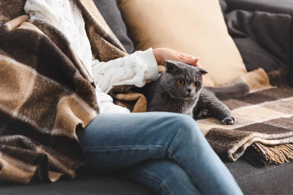 Vista ritagliata di ragazza in coperta seduta sul divano con gatto piega scozzese — Foto stock