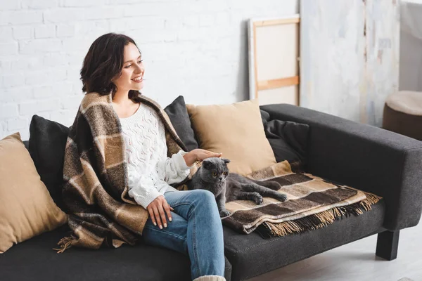 Feliz chica en manta sentado en sofá con escocés plegable gato - foto de stock