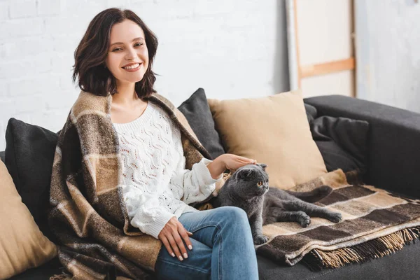 Красива жінка в ковдрі сидить на дивані з шотландським складним котом — стокове фото