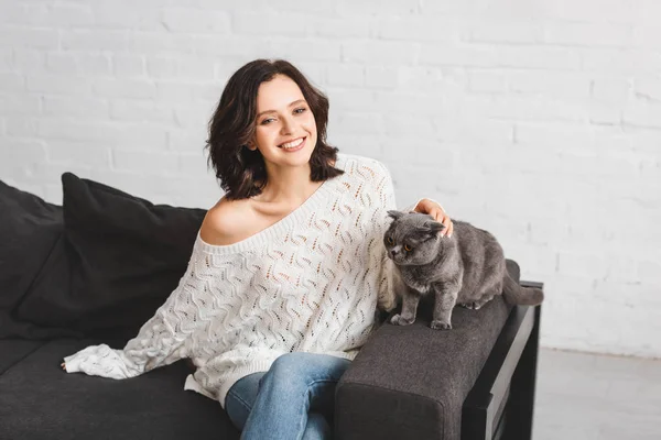Красива весела жінка сидить на дивані з шотландським складним котом — стокове фото