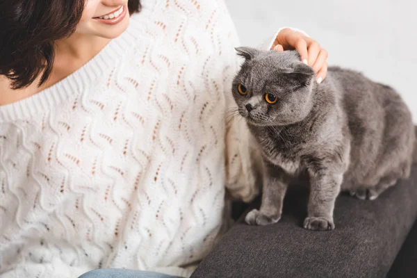 Vista ritagliata di donna sorridente seduta sul divano con gatto piega scozzese — Foto stock
