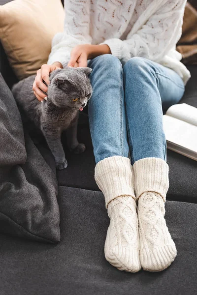 Vista recortada de la mujer con libro y gato gris sentado en el sofá - foto de stock