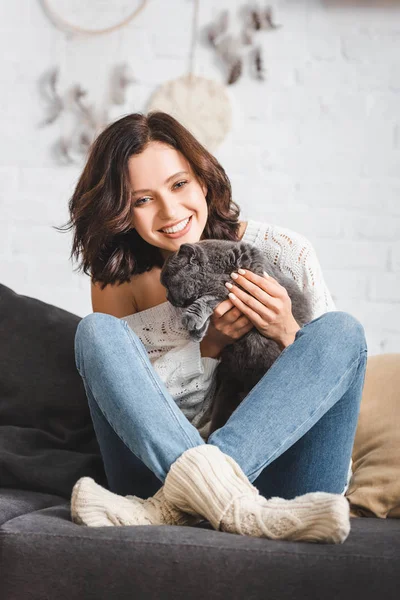 Belle fille gaie assise sur le canapé avec chat pliant écossais — Photo de stock