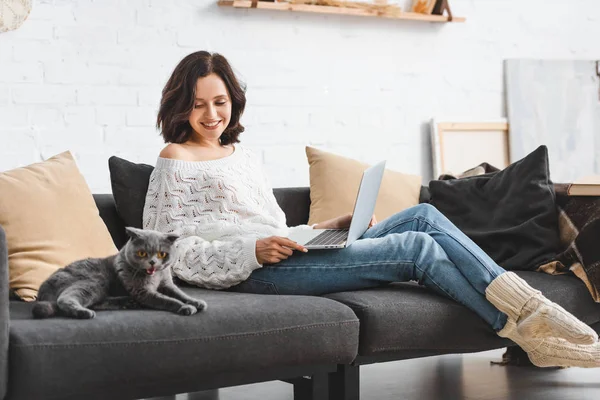 Beautiful happy woman using laptop with scottish fold cat on sofa — Stock Photo