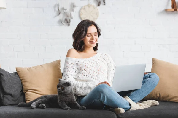Sonriente chica usando portátil con escocés plegable gato en sofá - foto de stock