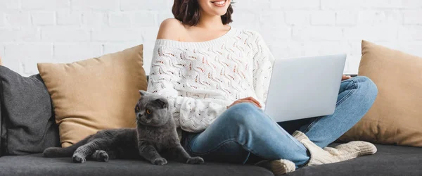 Corte vista de mulher sorridente usando laptop com escocês dobra gato no sofá — Fotografia de Stock