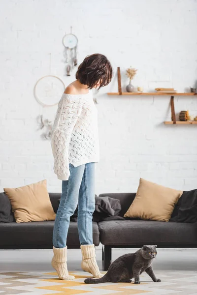 Belle femme avec chat pliant écossais dans le salon confortable — Photo de stock