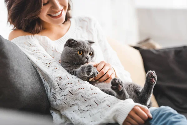 Heureuse jeune femme assise sur canapé avec chat pliant écossais — Photo de stock