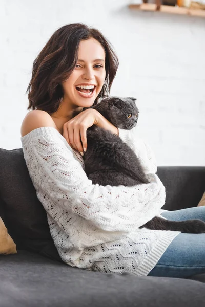 Bela mulher rindo com escocês dobrar gato sentado no sofá — Fotografia de Stock