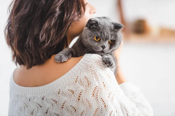 Close up de mulher bonita com bonito escocês dobra gato — Fotografia de Stock