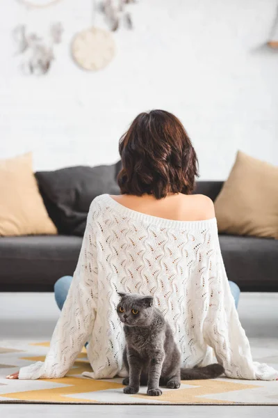 Vue arrière de la femme assise sur le sol avec chat pliant écossais — Photo de stock