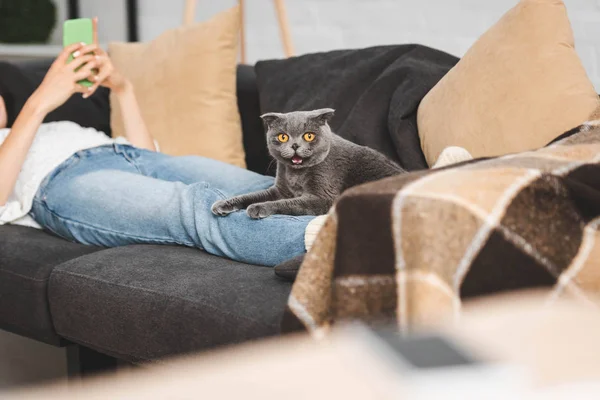 Corte vista da menina usando smartphone no sofá com escocês dobra gato — Fotografia de Stock