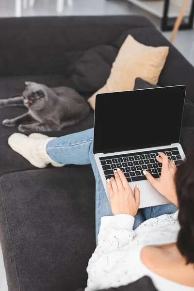 Foyer sélectif de la femme en utilisant un ordinateur portable avec écran blanc sur le canapé avec chat pliant écossais — Photo de stock