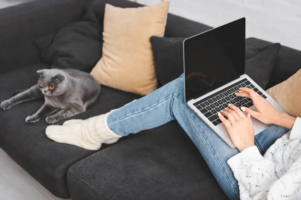 Vue recadrée de la femme à l'aide d'un ordinateur portable avec écran blanc sur canapé avec chat — Photo de stock