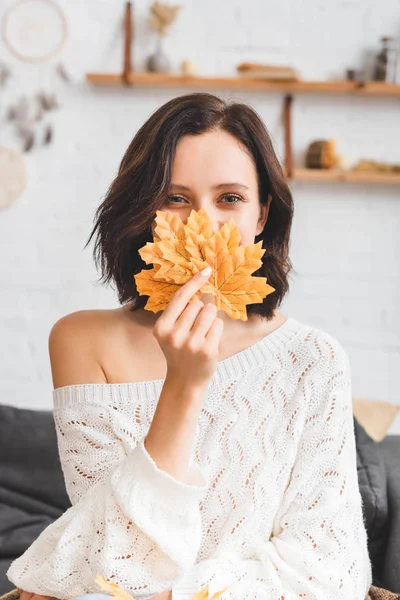 Feliz chica atractiva sosteniendo hojas amarillas de otoño en frente de la cara - foto de stock