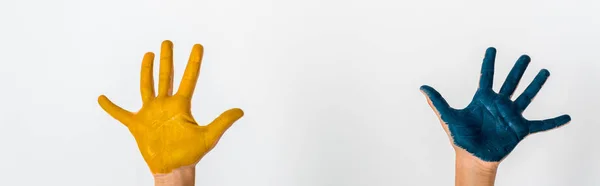 Панорамний знімок дитини з синьо-жовтою фарбою на руках ізольовано на білому — стокове фото