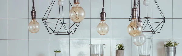 Panoramic concept of light bulbs near decorative elements, potted plants and jars in modern kitchen — Stock Photo