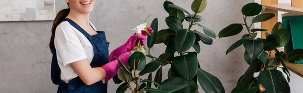 Cultura panorâmica de limpeza sorrindo segurando frasco de spray perto da planta em casa — Fotografia de Stock