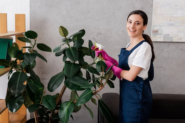 Seitenansicht eines lächelnden Reinigers, der eine Sprühflasche in der Nähe von Pflanzen zu Hause hält — Stockfoto