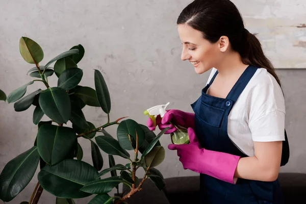 Smiling cleaner spraying leaves of plant at home — Stock Photo