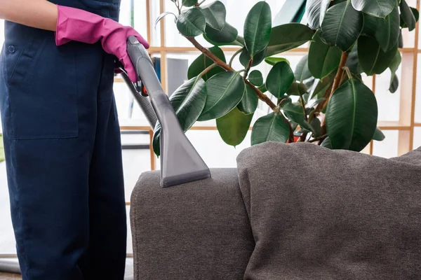 Cropped view of cleaner in rubber glove using vacuum cleaner on couch upholstery — Stock Photo