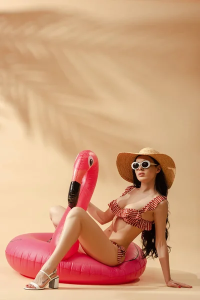 Sexy brunette woman in striped swimsuit, sunglasses and straw hat on inflatable flamingo on beige background — Stock Photo