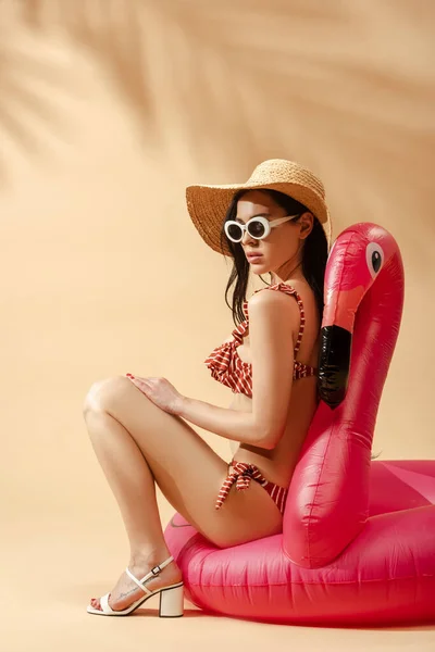 Mulher morena sexy em maiô listrado, óculos de sol e chapéu de palha perto de flamingo inflável no fundo bege — Fotografia de Stock
