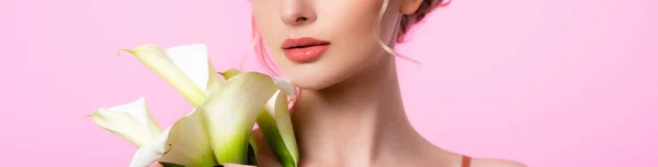 Recortado vista de elegante hermosa mujer sosteniendo flores de calla aislado en rosa, tiro panorámico — Stock Photo