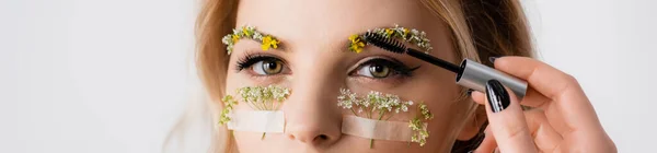 Vista recortada de hermosa mujer rubia peinado flores silvestres en las cejas con gel de frente aislado en blanco, tiro panorámico - foto de stock