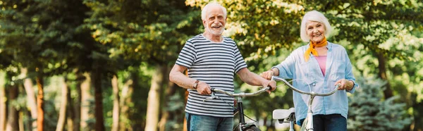 Foto panorámica de una sonriente pareja de ancianos con bicicletas mirando a la cámara en el parque - foto de stock
