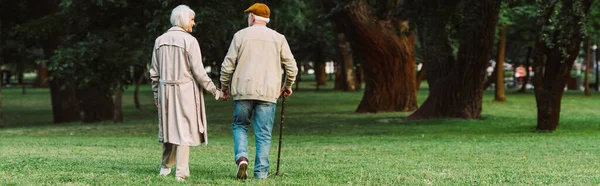 Panoramic crop of senior couple walking on grass in park — Stock Photo