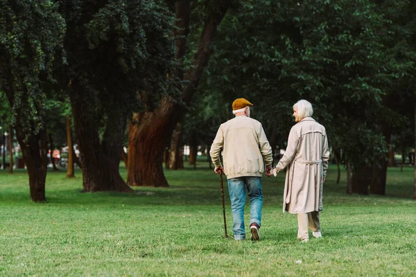Vue arrière du couple de personnes âgées marchant sur l'herbe dans le parc — Photo de stock