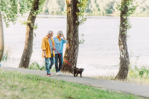 Selective focus of smiling senior woman walking near husband and pug dog on leash in park during summer — Stock Photo