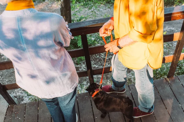 Vista ritagliata di coppia anziana con cane carlino in piedi sul ponte nel parco — Foto stock