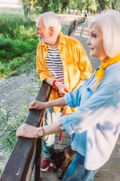 Вибірковий фокус літнього чоловіка з мопсом на повідку, що стоїть біля дружини на мосту в парку — стокове фото