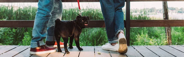 Panoramic crop of pug dog on leash standing near elderly couple on bridge in park — Stock Photo